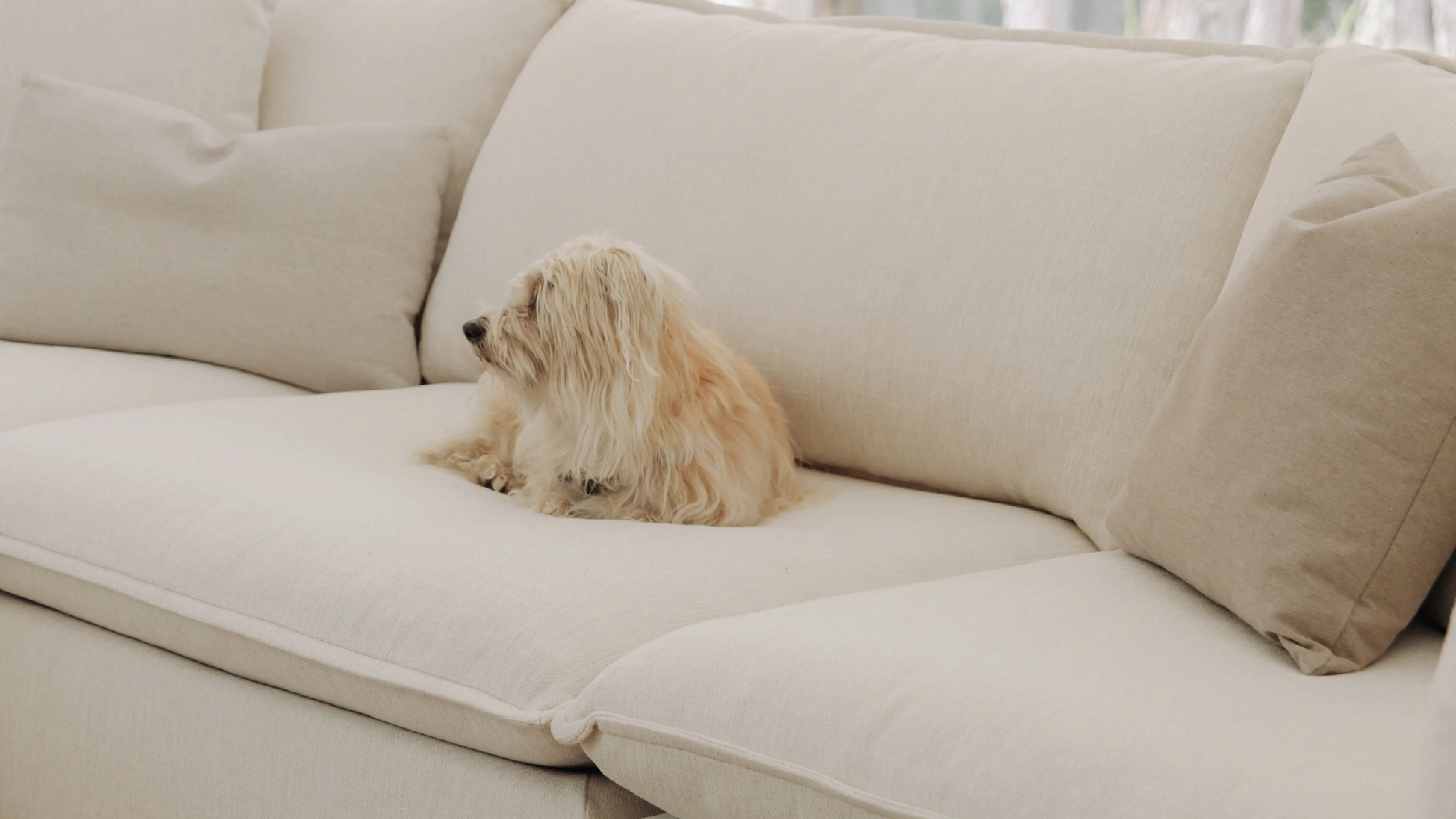 Chill Time 4-Piece Modular Sectional, Birch