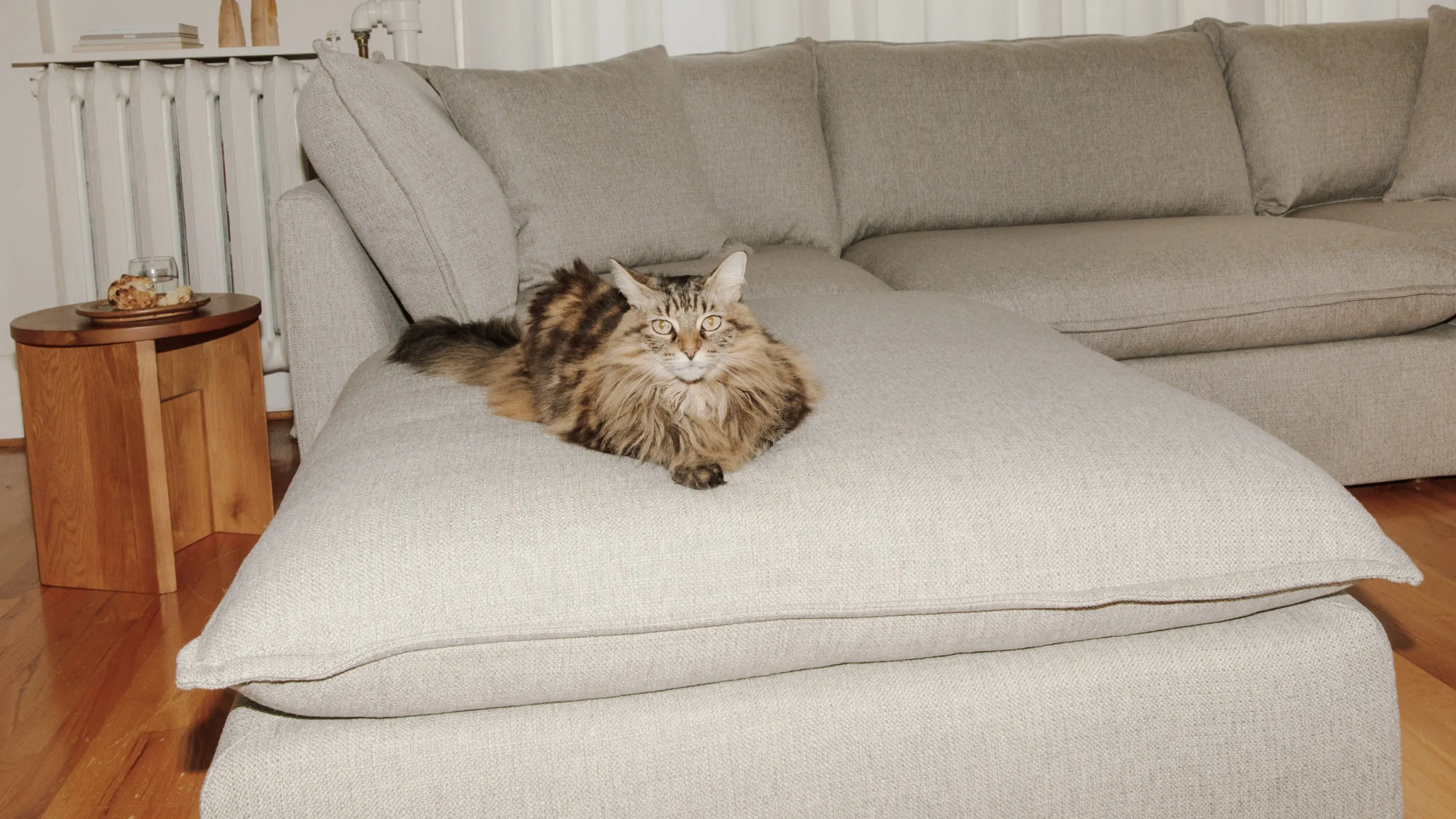 Chill Time 5-Piece Modular U-Shaped Sectional, Heather