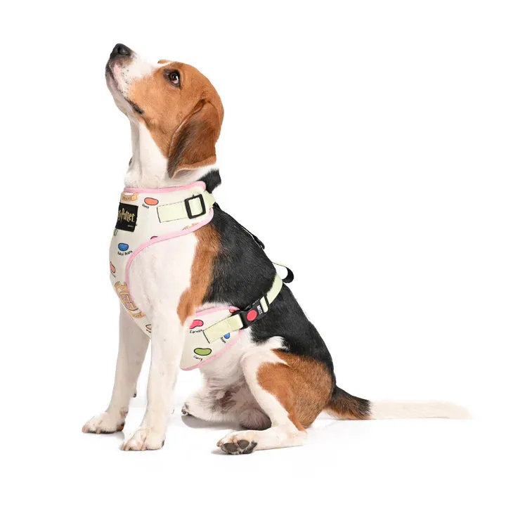 Every Flavour Bean Dog Harness