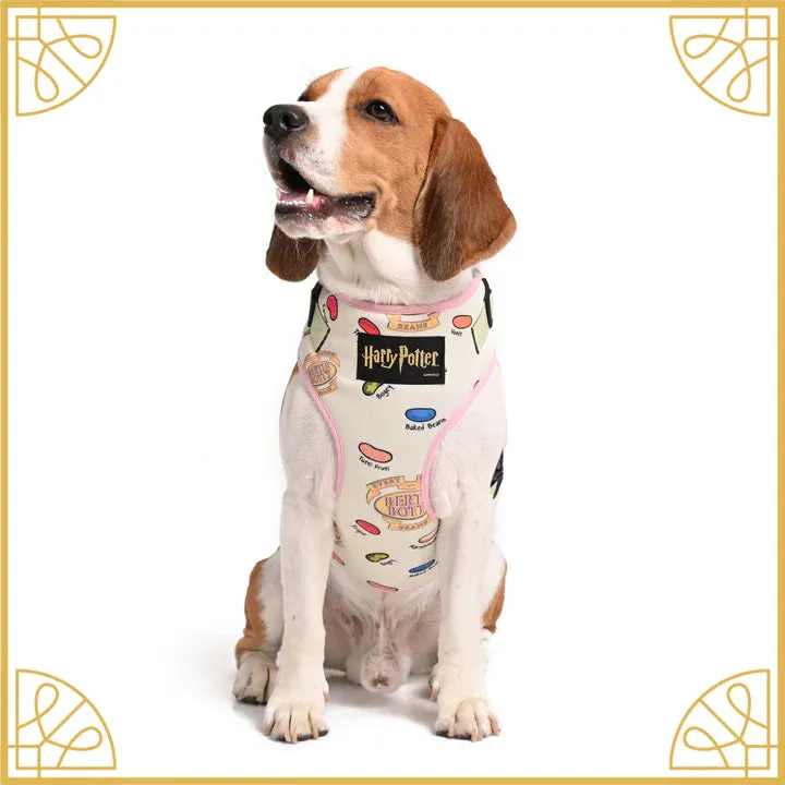 Every Flavour Bean Dog Harness