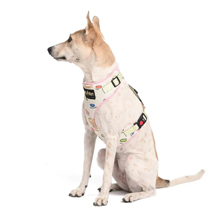 Every Flavour Bean Dog Harness