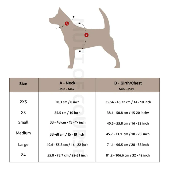 Every Flavour Bean Dog Harness