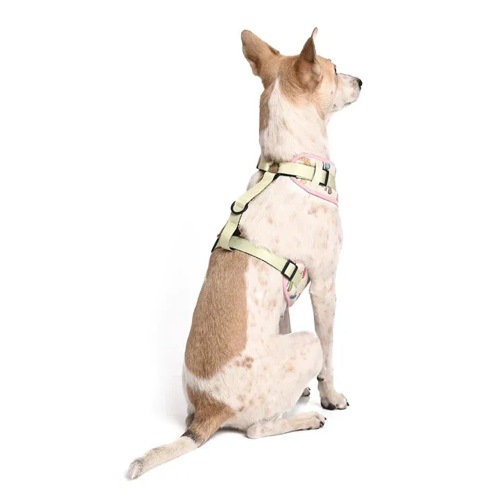 Every Flavour Bean Dog Harness